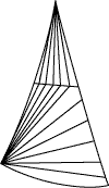 biradial symmetry in echinodermsppt
