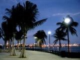 Bayshore by night