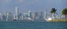 cropped Miami Skyline xs