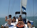 Dolphin watching in Miami