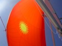 Spinnaker