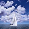 images-6