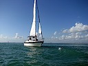 Sailing by Stiltsville
