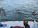 Sailing can be very adventurous