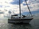 Miami Sailing