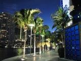 miami by night xs