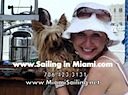 Miami pet friendly sailing charter