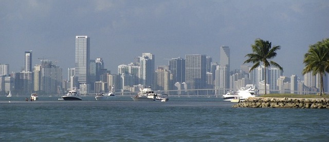 Miami Skyline s