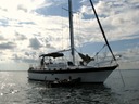 Miami snorkel charter