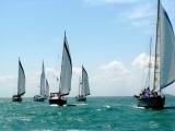 mini regata xs