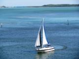 como tu sailing in miami XS