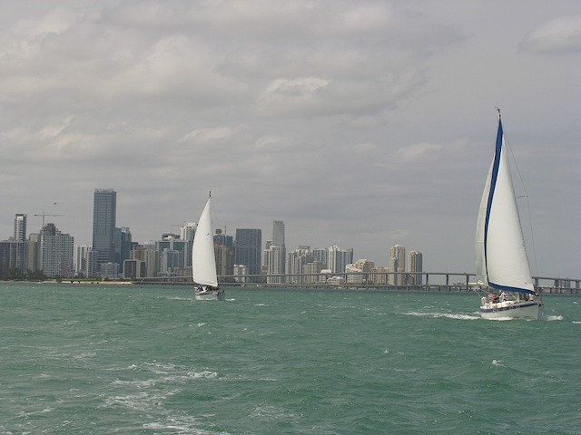 regatta x