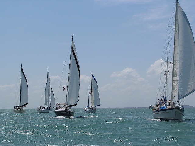 regatta z