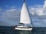 sailboat ride miami xs