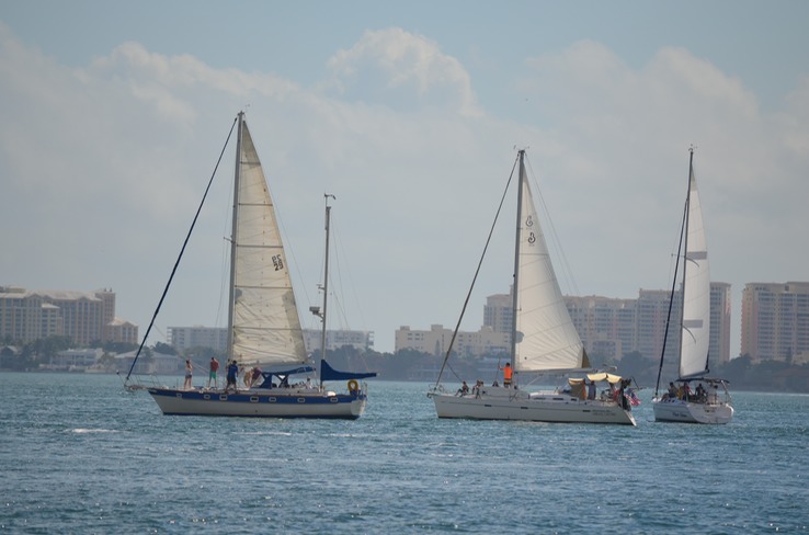 sailing regatta