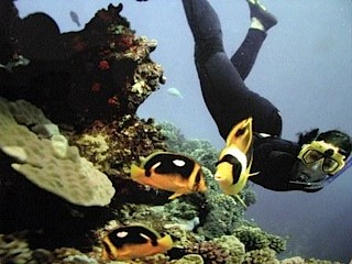 scuba s