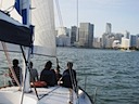 Miami Sailing by Downtown