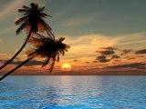 sunset_in_the_florida_keys__textmedium
