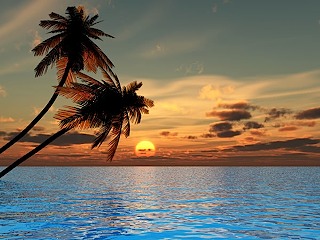 sunset in the florida keys